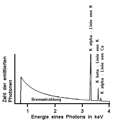 Energie - Verteilung der durch Elektronen - Beschuss einer Probe ausgelösten Röntgen - Photonen